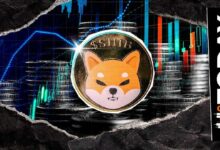 محو 5.8 مليار شورت لـ SHIB مع صعود الفائدة المفتوحة: ما التوقعات؟