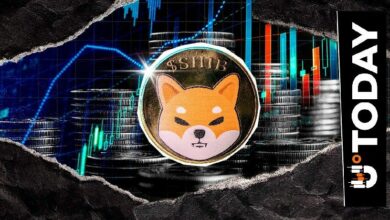 محو 5.8 مليار شورت لـ SHIB مع صعود الفائدة المفتوحة: ما التوقعات؟