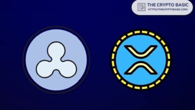 مؤسس TechCrunch: تقييم Ripple بأصول XRP فقط يفتقر إلى "الواقعية"