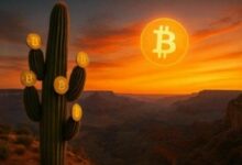 صندوق معاشات أريزونا يكشف عن استثمار 24 مليون دولار في البيتكوين عبر أسهم Strategy