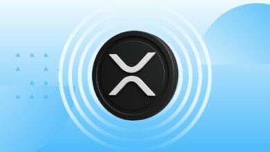 محلل يوضح سبب عدم قلقه بشأن سعر XRP: "الطريق إلى فالهالا" واعد