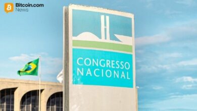 مشروع قانون يتهم البنك المركزي البرازيلي بـ"التجاوز" في تنظيم ستابل كوين