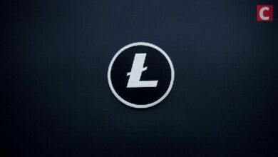 سعر اللايتكوين يقترب من 100 دولار مع جذب صندوق LTCC ETF لـ1.65 مليون دولار في أول أسبوع تداول