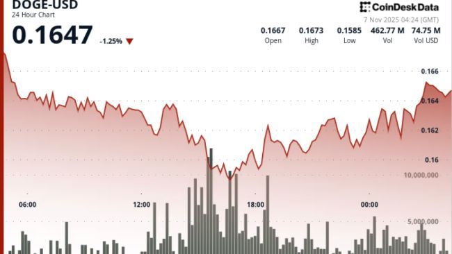 ETF خاص بالدوجكوين قد ينطلق قريبًا في الولايات المتحدة لكن المؤشرات الفنية تشير إلى اتجاه هابط حاليًا
