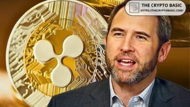 رئيس ريبل: الشركة لن تدعم مشاريع القوانين التي تهدد وضوح حالة XRP المكتسب بصعوبة