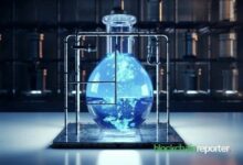 السيولة في سوق العملات الرقمية تبلغ ذروتها عند 560 مليار دولار: رأس المال يدور ولا ينمو