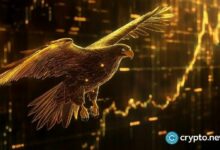 عملة WLFI المدعومة من ترامب تُظهر صموداً عند 0.14 دولار رغم ظروف السوق