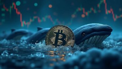 انخفاض البيتكوين دون 95 ألف دولار في أسوأ أسبوع منذ مارس.. المحللون يتوقعون اختبار 84 ألف دولار