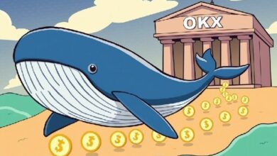 تحرك مفاجئ لـ «حوت» USDT: 236 مليون دولار تنتقل إلى OKX في حركة عملاقة بالأسواق