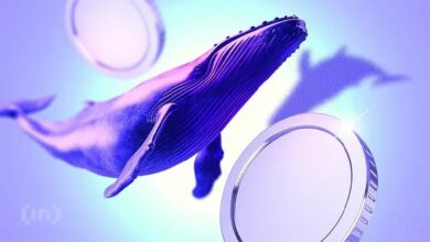 3 عملات رقمية بديلة منخفضة القيمة السوقية تكسر مرحلة التراكم طويل الأجل في نوفمبر