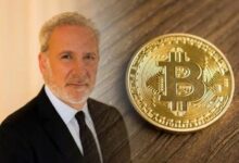 بيتر شيف الدب الهابط يشارك أفكاره الأخيرة حول البيتكوين بعد الانهيار