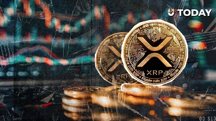 هل ينخفض سعر XRP؟ مراكز بيع ضخمة بقوة 20x تثير المخاوف