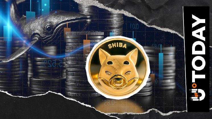 ترحيل 158 مليار SHIB في ساعات.. حيتان Shiba Inu تسجل أرباحًا هائلة؟