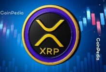 لماذا لا يرتفع سعر XRP رغم إطلاق ستة صناديق ETF؟