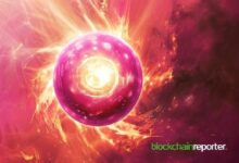 إطلاق شبكة بلازما على نيكسو لفتح آفاق جديدة لحاملي عملتي XPL و USDT