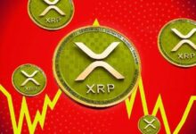 شرح انهيار سعر صندوق XRP ETF