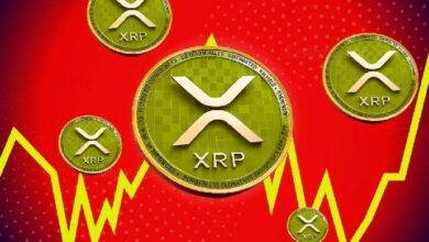 شرح انهيار سعر صندوق XRP ETF
