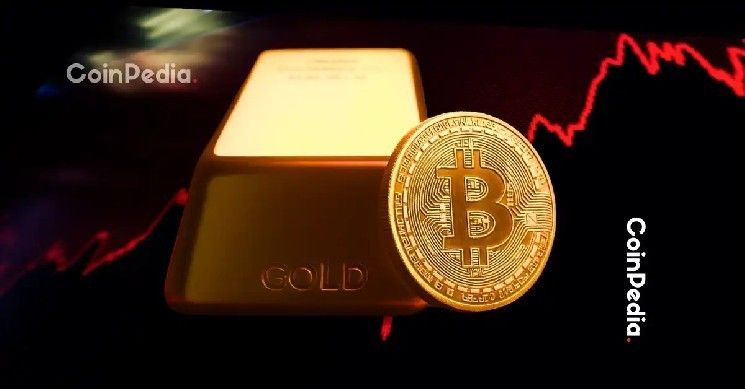 CZ يوجه انتقادات لبيتر شيف ويشكك في إمكانية التحقق من الذهب وسط مخاوف تدقيق فورت نوكس