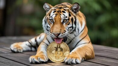 رئيس شركة استثمار: الاحتفاظ بالبيتكوين يشبه إطعام نمر.. ويتوقع هذا السيناريو القادم