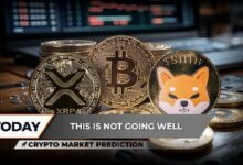 توقعات سوق العملات الرقمية: XRP يحقق قفزة هائلة، بيتكوين تواصل الصمود دون 90 ألف دولار، هل يحقق شيبا إينو (SHIB) قفزة تاريخية قريبًا؟