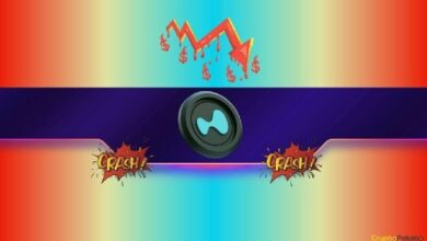 هل يواجه الهايبرليكود (HYPE) اختباراً مصيرياً: هل يشهد انخفاضاً إلى 25 دولاراً؟