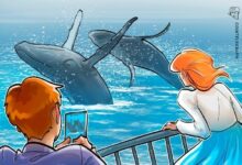 محللون: نشاط حيتان البيتكوين يسجل أعلى أسبوع في العام الحالي