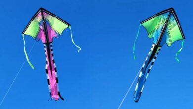 شركة المدفوعات الذكية "Kite" تطلق توكنها مسجلة تداولات بقيمة 263 مليون دولار في ساعتين