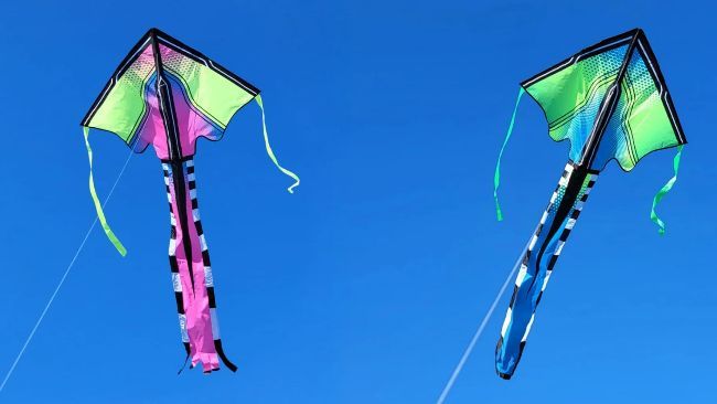 شركة المدفوعات الذكية "Kite" تطلق توكنها مسجلة تداولات بقيمة 263 مليون دولار في ساعتين