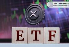 ماذا سيحدث لسعر XRP إذا استحوذت الصناديق المتداولة على 5% من المعروض؟