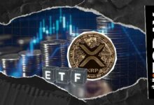 صندوق كاناري XRP المتداول يجاوز 26 مليون دولار في حجم التداول اليومي خلال عودة مذهلة