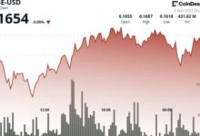دوج كوين يحافظ على دعم 0.16 دولار مع إحباط جني الأرباح لمحاولة الاختراق
