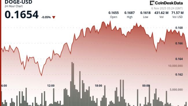 دوج كوين يحافظ على دعم 0.16 دولار مع إحباط جني الأرباح لمحاولة الاختراق