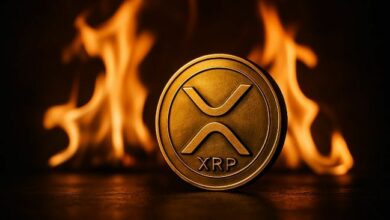 محلل: XRP يتطلع إلى 5.5 دولار وأفضل نقطة دخول لم تأتِ بعد