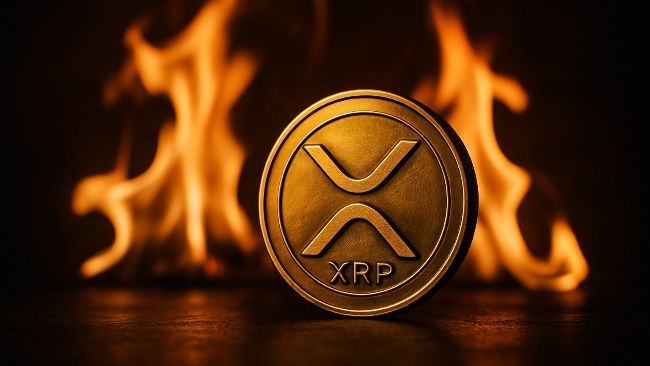 محلل: XRP يتطلع إلى 5.5 دولار وأفضل نقطة دخول لم تأتِ بعد
