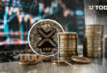 ثلاثة صناديق ائتمان لـ XRP على وشك الإطلاق الفوري