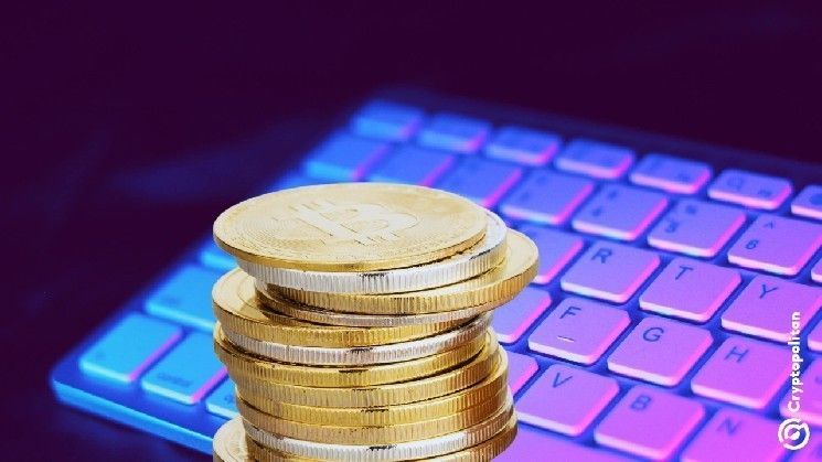 بالانسر يتجنب خسارة 4.1 مليون دولار بعد اكتشاف ثغرة هجومية جديدة