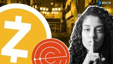 زيكاش: رائد الخصوصية المدعوم بتقنيات البراهين الصفرية