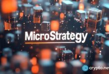 "سيتيرون ريسيرش" تحتفل بمرور عام على رهانها ضد إستراتيجية وتدافع عن مركز البيع