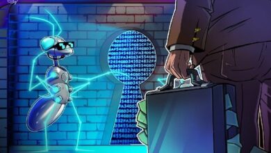 العملة الصعبة مقابل الخصوصية: سيفديان عموس يتساءل عن التوجه نحو الخصوصية في عالم العملات الرقمية