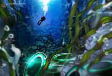 سانتيمنت: القيعان السوقية للعملات المشفرة "نادراً ما تحدث" حين يتوقعها الجميع