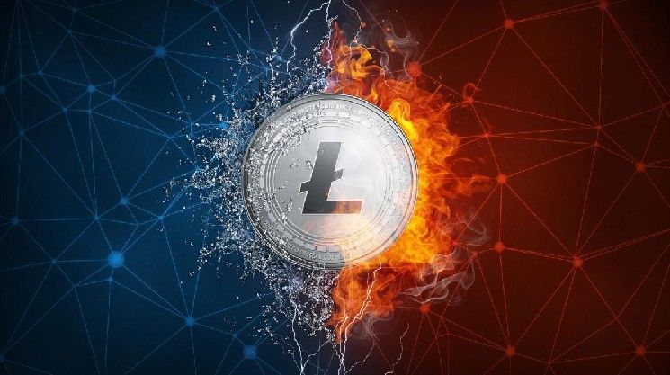 شركة Luxxfolio الكندية تعلن عن خطة لحيازة مليون لايتكوين: هل يستعد LTC لارتفاع سعري كبير؟