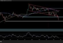 تحليل سعر الريبل: ما مصير XRP مع استمرار ضعفه أمام البيتكوين والدولار؟