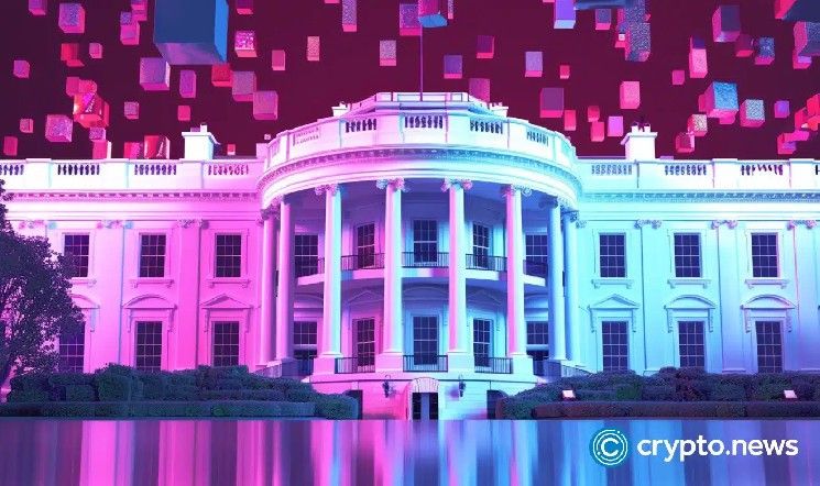 مقابلة | إلي كوهن من Centrifuge: على العملات الرقمية أن تكسب تأييد الديمقراطيين