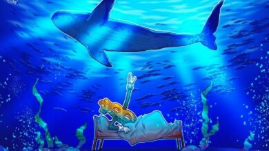 لا داعي للذعر: الحيتان تبيع البيتكوين لكنه ليس هروبًا جماعيًا