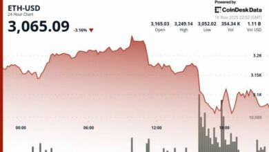 إيثر تهبط تحت 3100 دولار.. مدير استثمار: السوق ينظر للعملة كمُخاطرة أعلى من البيتكوين
