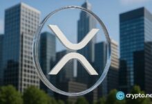 لماذا انخفض سعر XRP رغم الأخبار الإيجابية عن Ripple؟