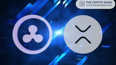 خبير: احتياطي XRP الاستراتيجي يتحول إلى صندوق حرب لشركة Ripple
