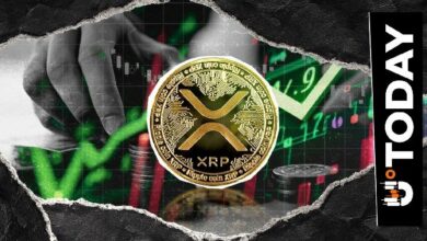 تعرَّف على سبب تفضيل أحد أبرز متداولي XRP للعملة كأفضل استثمار بعد توقعه صعودها 700%