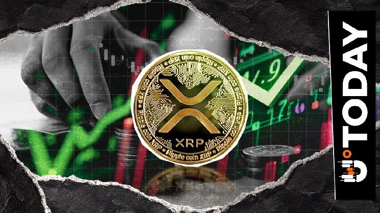 تعرَّف على سبب تفضيل أحد أبرز متداولي XRP للعملة كأفضل استثمار بعد توقعه صعودها 700%