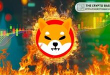 شيبا إنو تكشف عن 3 إنجازات مذهلة لـ SHIB هذا الشهر